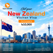 New Zealand Visa Success Story SEO Title